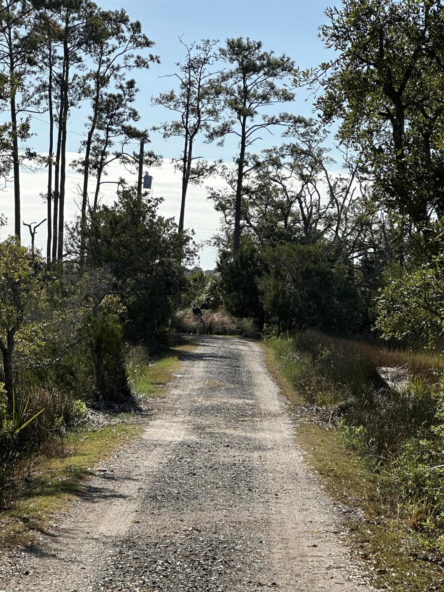 8821 Peters Point Road Edisto Island, SC 29438 - Photo 7 of 27 causeway