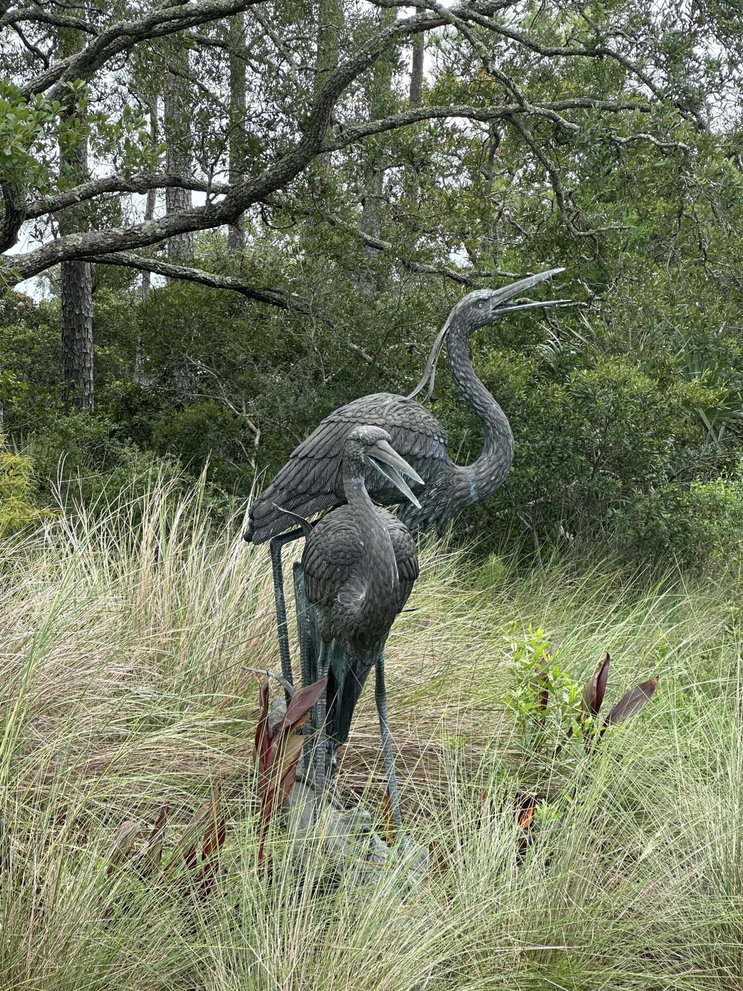 8821 Peters Point Road Edisto Island, SC 29438 - Photo 8 of 27 welcoming Committee