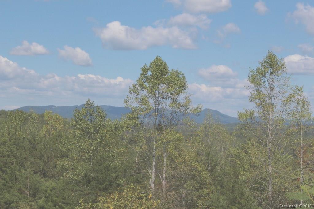 687 Moss Road Rutherfordton, NC 28139 - Photo 12 of 23