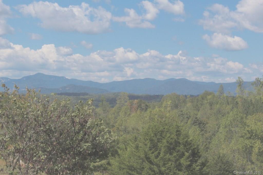687 Moss Road Rutherfordton, NC 28139 - Photo 13 of 23
