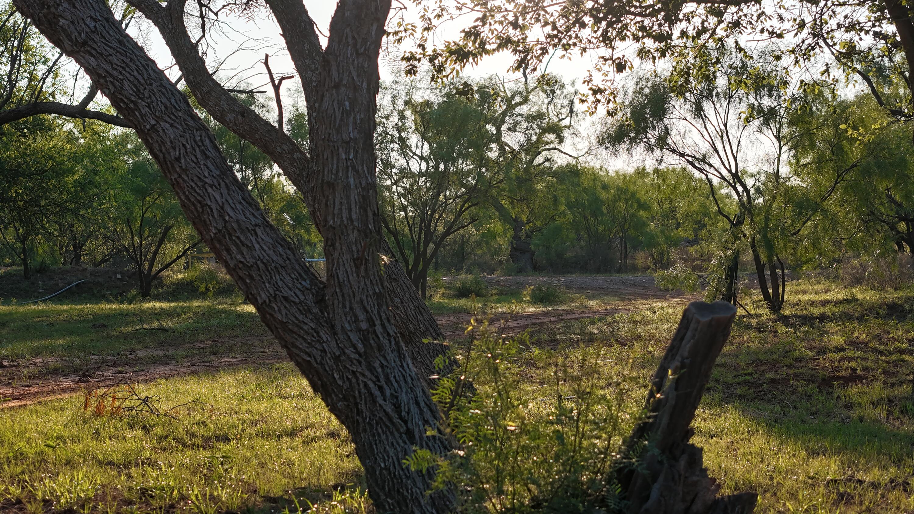 92 Texas Hamlin, TX 79520 - Photo 30 of 63 DJI_20260528073855_0117_D