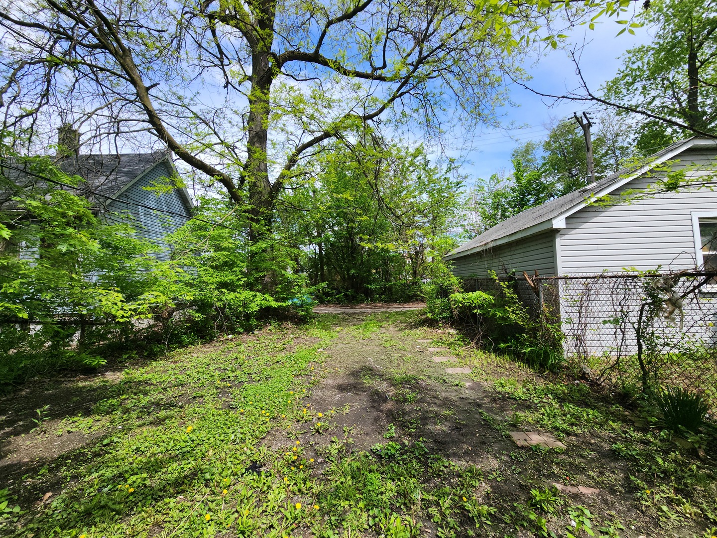 18 West 114th Street Chicago, IL 60628 - Photo 4 of 14 a view of backyard of house with green space