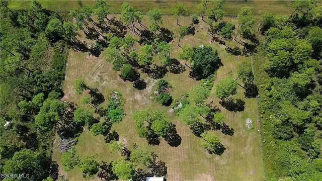 an aerial view of a forest with houses