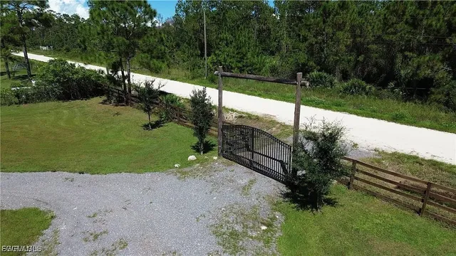 a view of a yard with potted plants and trees beside of it