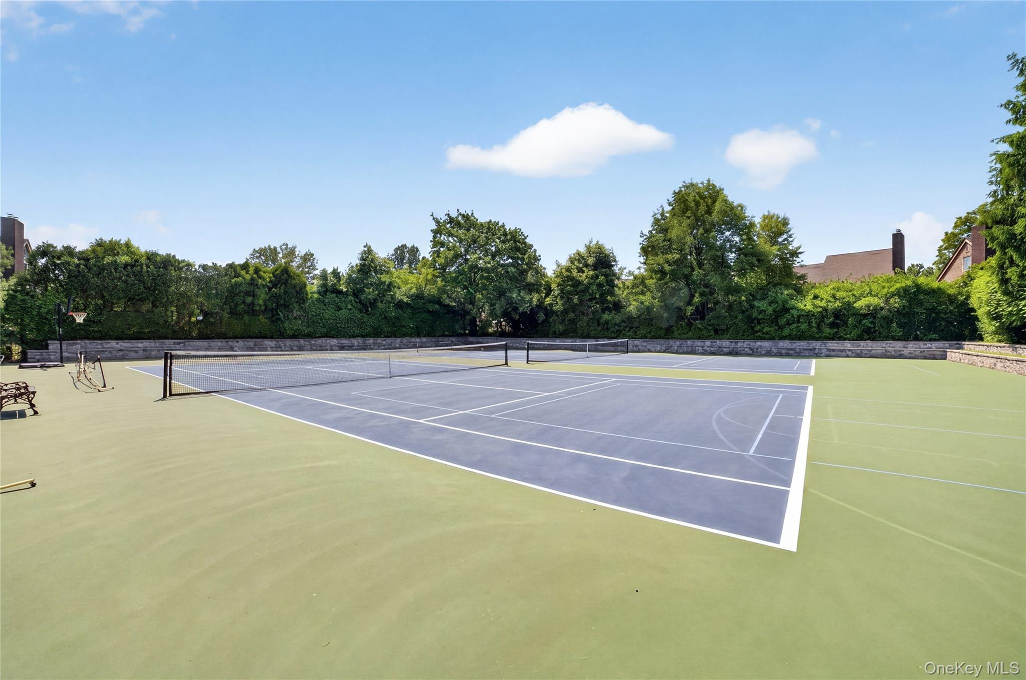 218 Tree Top Crescent Rye Brook, NY 10573 - Photo 31 of 36