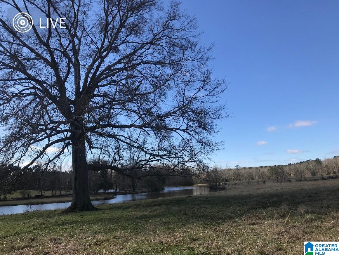 0 New Harmony Road, Unit 35 ACRES / Clanton, AL 35045 - Photo 12 of 21