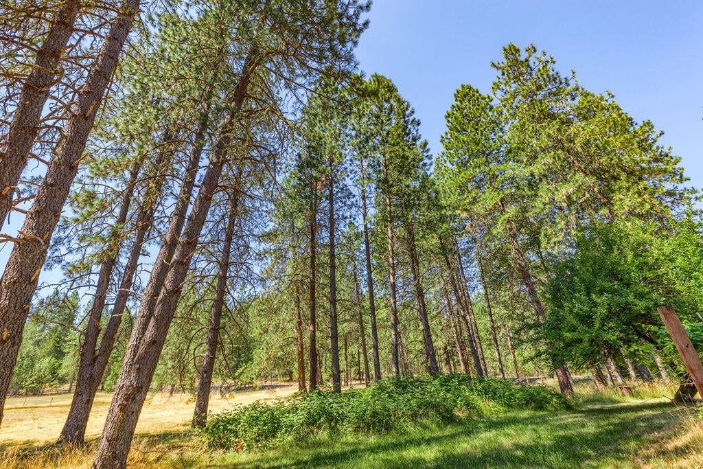 1065 Minthorne Road Rogue River, OR 97537 - Photo 11 of 49 MR(22)