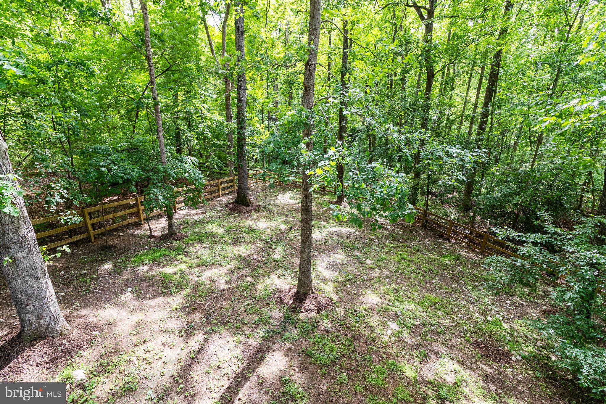10815 Cross School Road Reston, VA 20191 - Photo 16 of 48 Backyard view