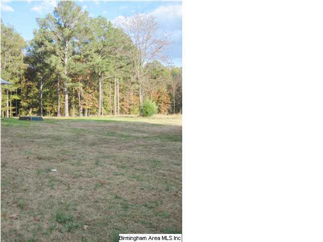 4264 Cedar Springs Road Jacksonville, AL 36265 - Photo 15 of 29
