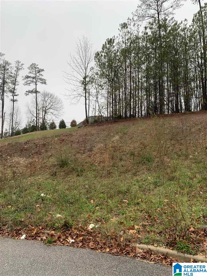 1222 Grande View Lane, Unit 814 Alabaster, AL 35114 - Photo 1 of 1