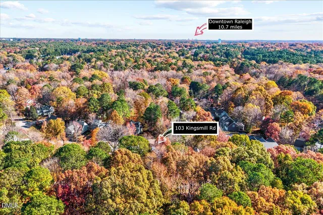 an aerial view of residential houses with outdoor space and trees