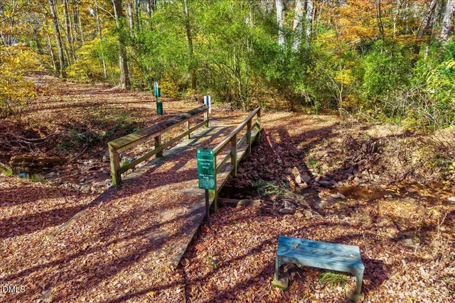 a view of a yard with plants and trees