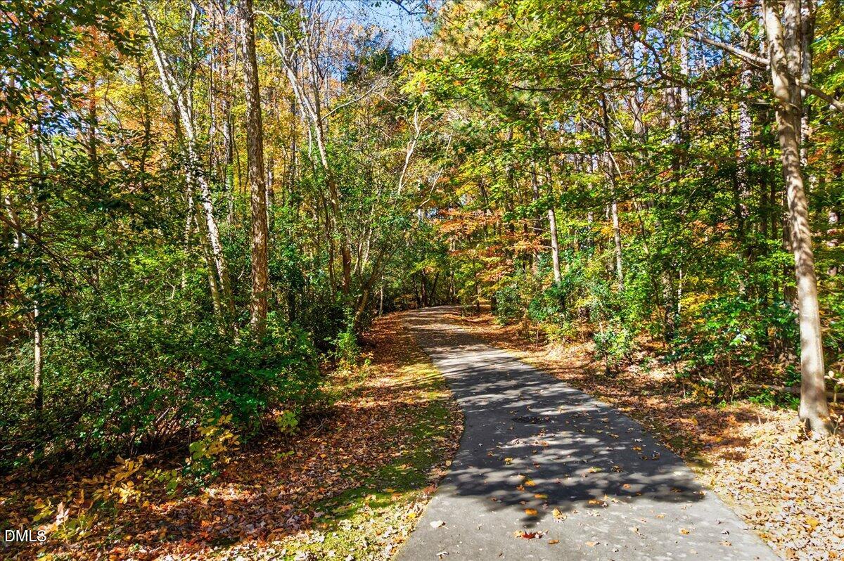 103 Kingsmill Road Cary, NC 27511 - Photo 26 of 30 a view of a yard with plants and large trees