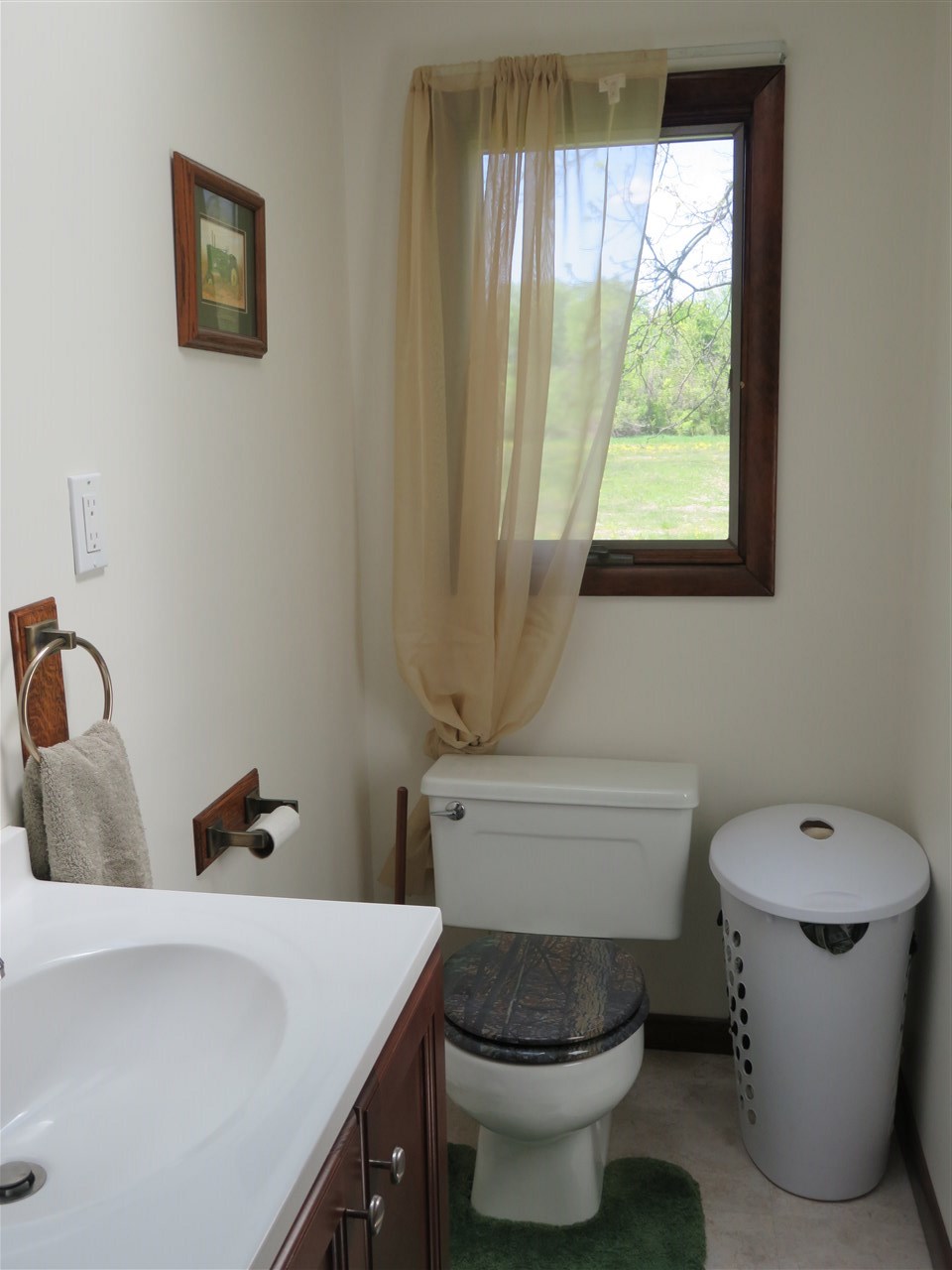4166 East Haslett Road Perry, MI 48872 - Photo 7 of 26