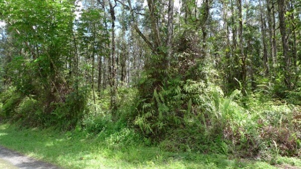 918 Shell Road Pahoa, HI 96778 - Photo 1 of 4 Gallery Image 1