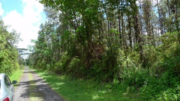 918 Shell Road Pahoa, HI 96778 - Photo 2 of 4 Gallery Image 2