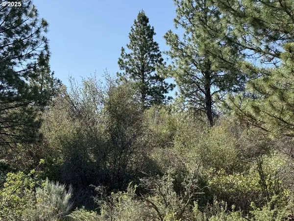 $120,000 | Lakeland Road, Unit 17, Chiloquin, OR 97624
