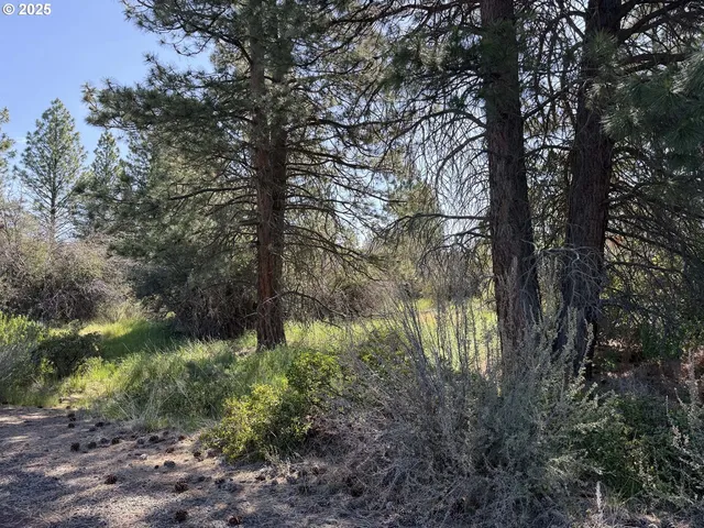 a view of a city with lush green forest