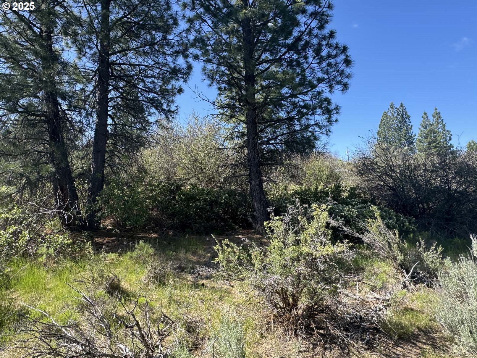 Lakeland Road, Unit 17 Chiloquin, OR 97624 - Photo 2 of 26 a view of outdoor space and trees
