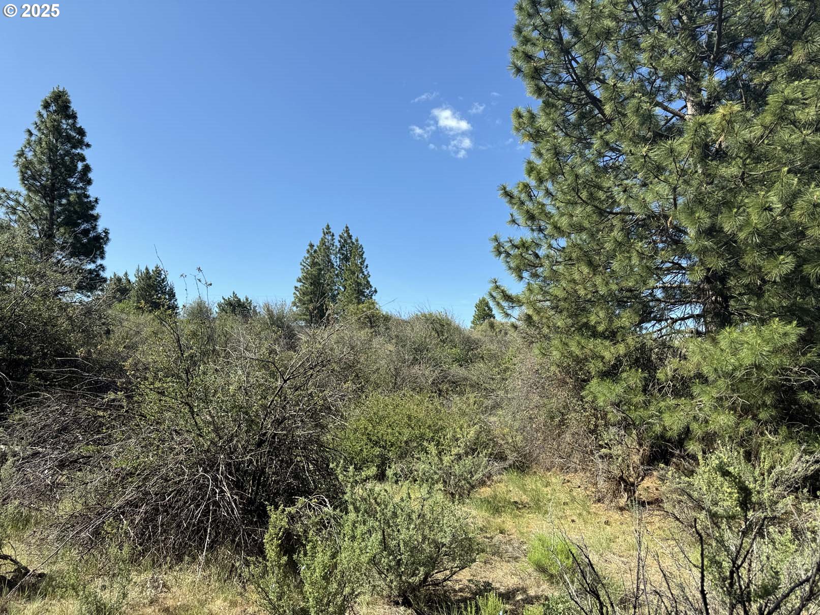 Lakeland Road, Unit 17 Chiloquin, OR 97624 - Photo 21 of 26 a view of a city with lush green forest