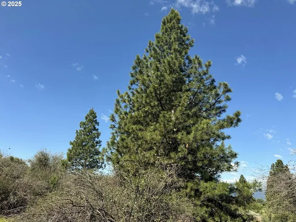 $120,000 | Lakeland Road, Unit 17, Chiloquin, OR 97624