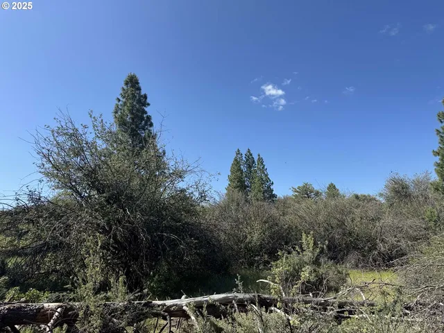 $120,000 | Lakeland Road, Unit 17, Chiloquin, OR 97624