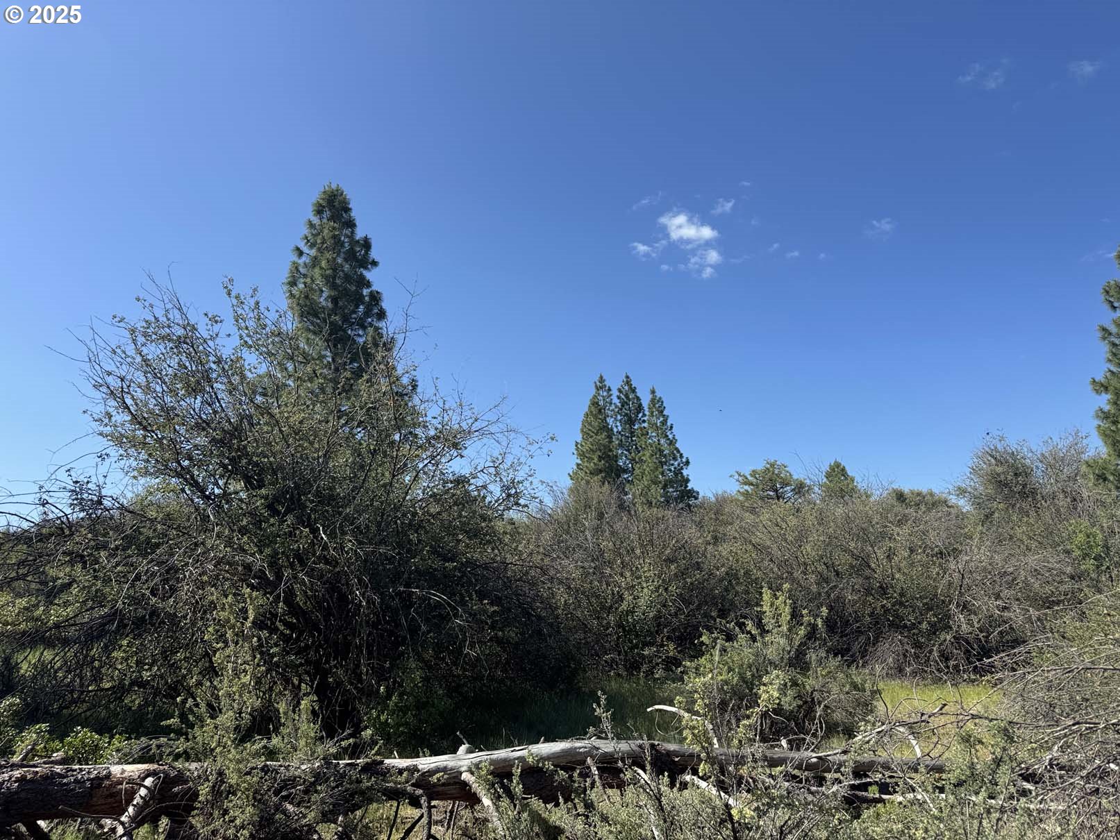 Lakeland Road, Unit 17 Chiloquin, OR 97624 - Photo 24 of 26