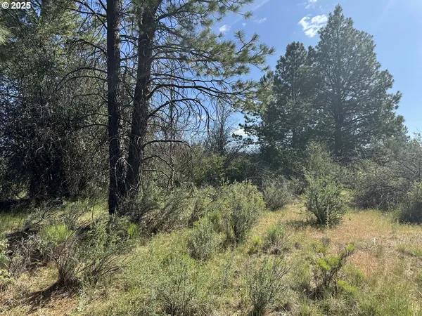 $120,000 | Lakeland Road, Unit 17, Chiloquin, OR 97624