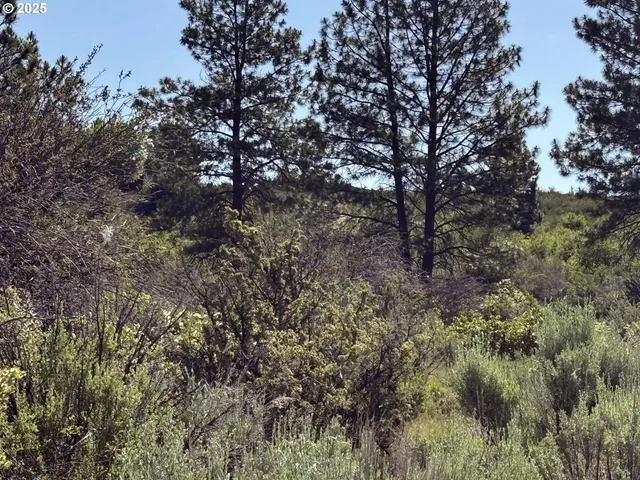 $120,000 | Lakeland Road, Unit 17, Chiloquin, OR 97624