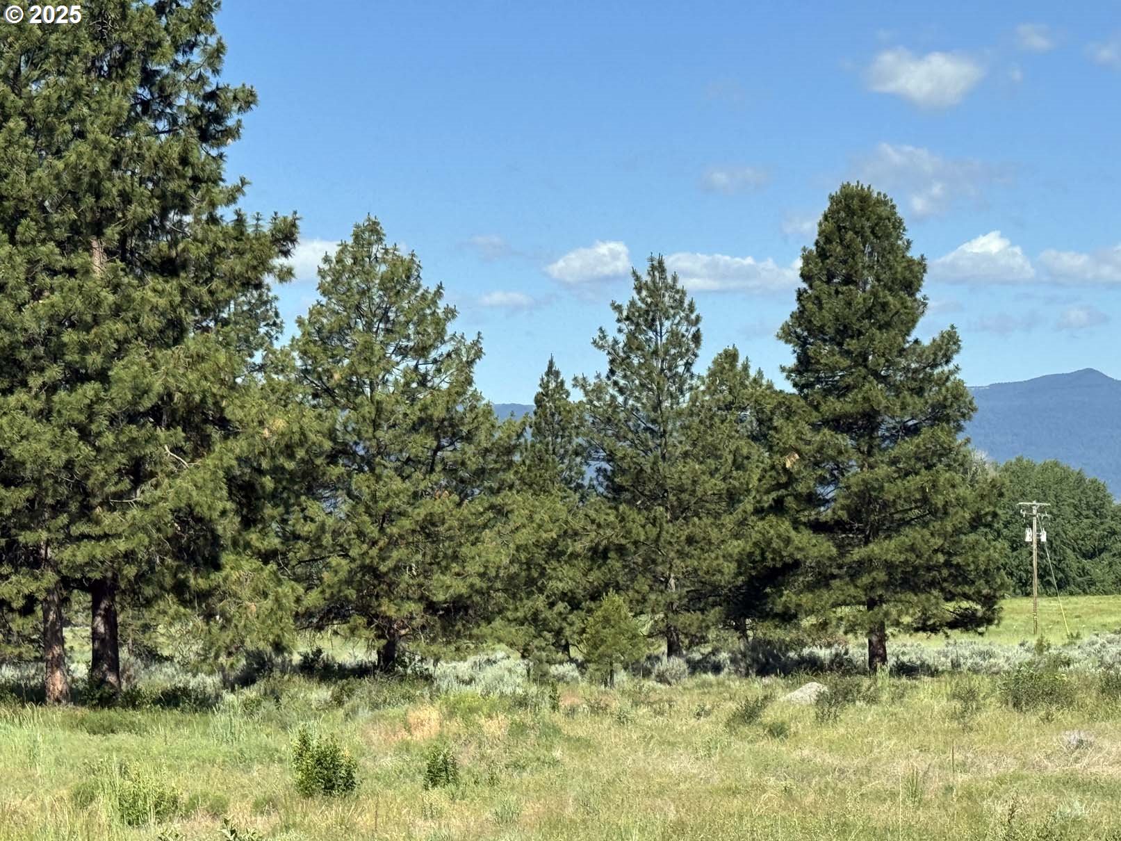 Lakeland Road, Unit 17 Chiloquin, OR 97624 - Photo 6 of 26 a view of a yard