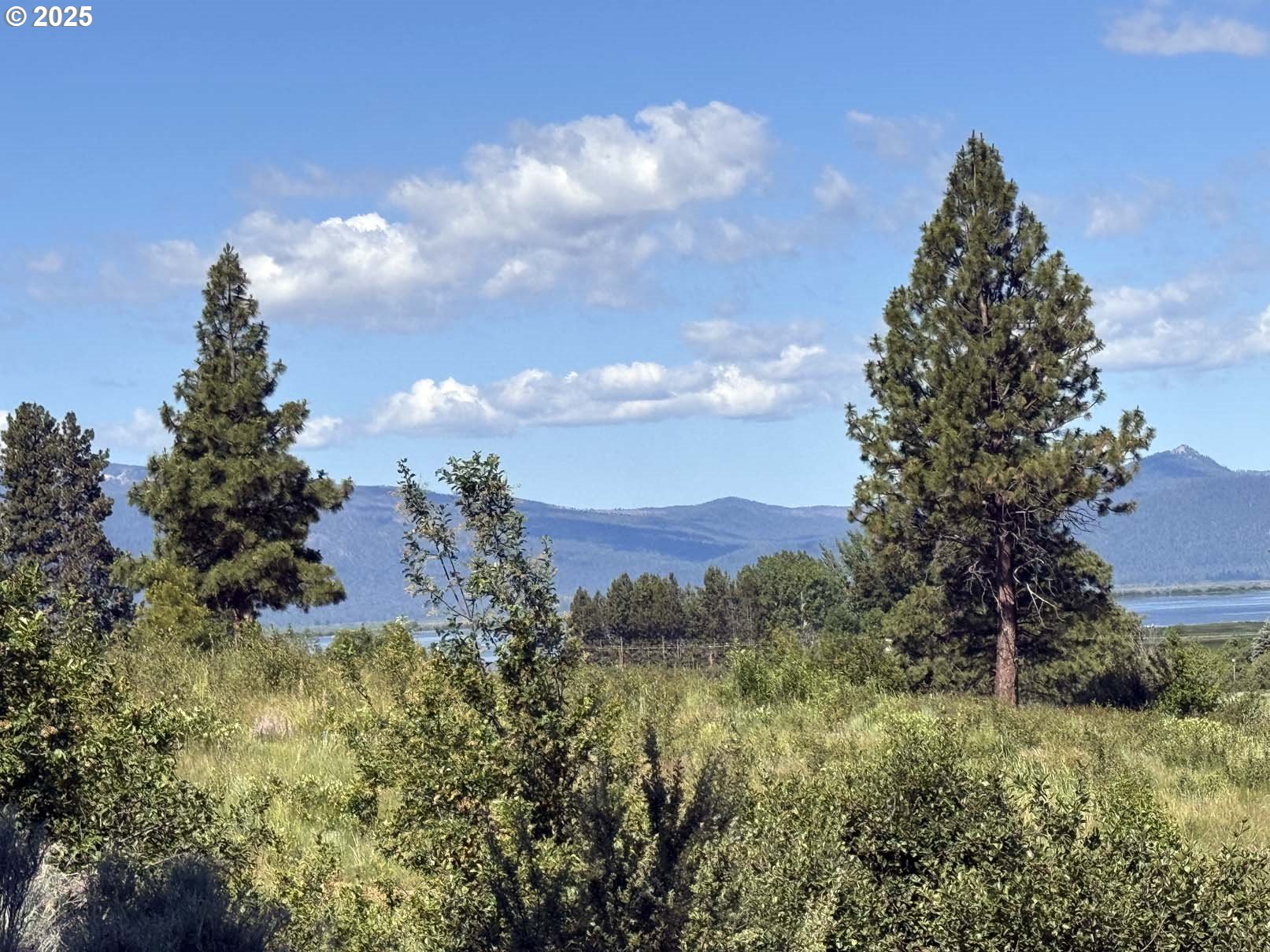 Lakeland Road, Unit 17 Chiloquin, OR 97624 - Photo 8 of 26 a view of a bunch of trees and bushes