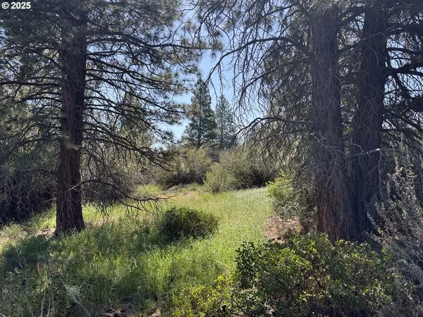 $120,000 | Lakeland Road, Unit 17, Chiloquin, OR 97624