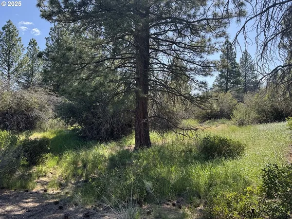 $120,000 | Lakeland Road, Unit 17, Chiloquin, OR 97624