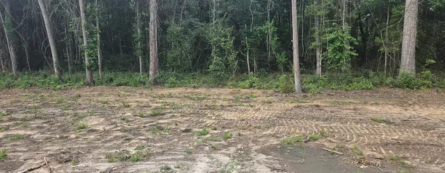 $274,900 | 117 Martin Drive, Eutawville, SC 29048