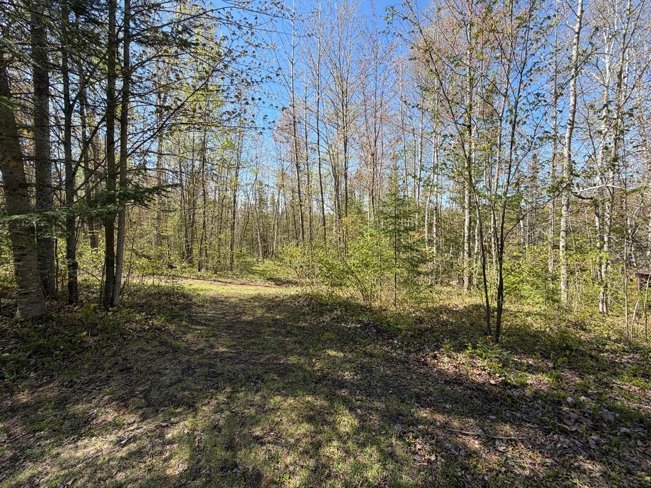 1375 Birch Road Park Falls, WI 54552 - Photo 15 of 32 Gallery Image 15