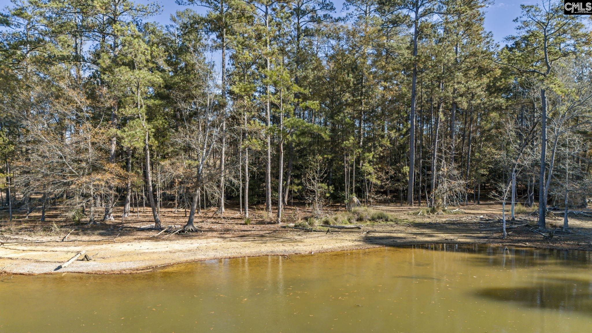 0 Navigator Trail Prosperity, SC 29127 - Photo 9 of 29