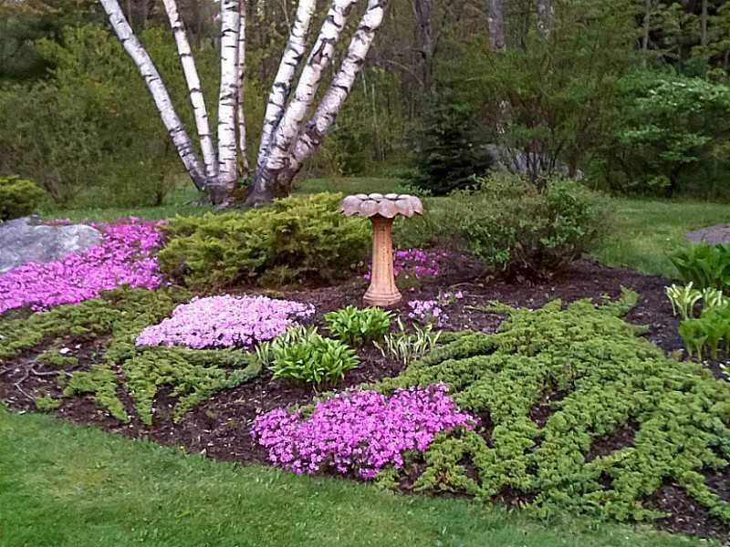 31 Yarmouth Road Gray, ME 04039 - Photo 3 of 35 Yard/Garden.
