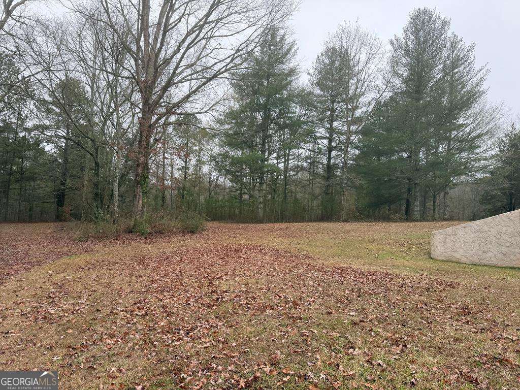 1837 Whooping Creek Road Carrollton, GA 30116 - Photo 17 of 19 a view of a yard with trees