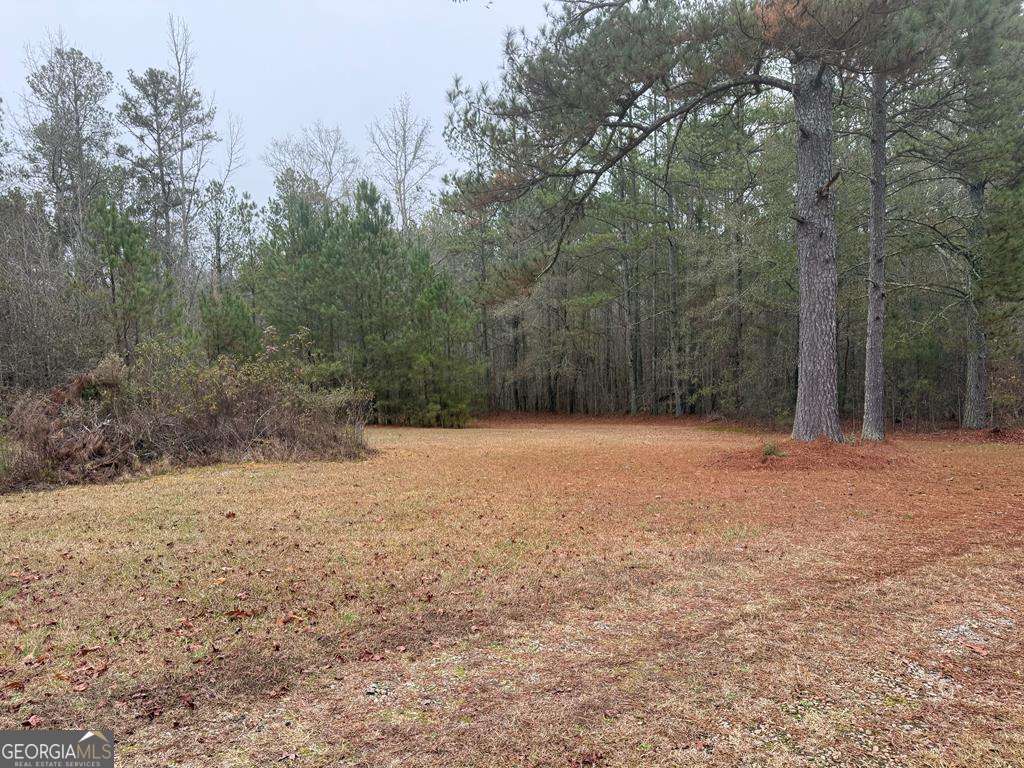 1837 Whooping Creek Road Carrollton, GA 30116 - Photo 19 of 19 a backyard of a house
