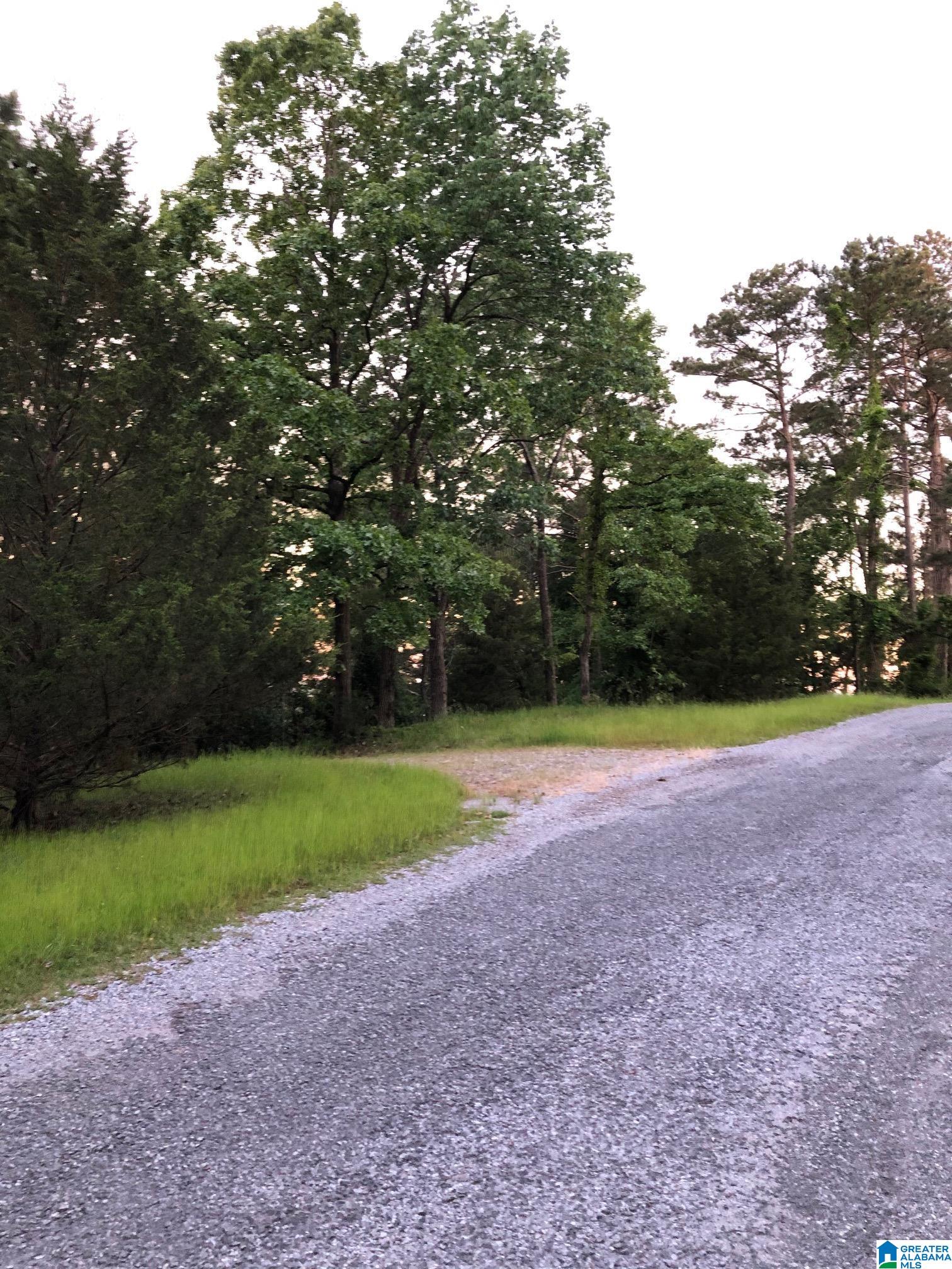 99 Port Road Dadeville, AL 36853 - Photo 40 of 49