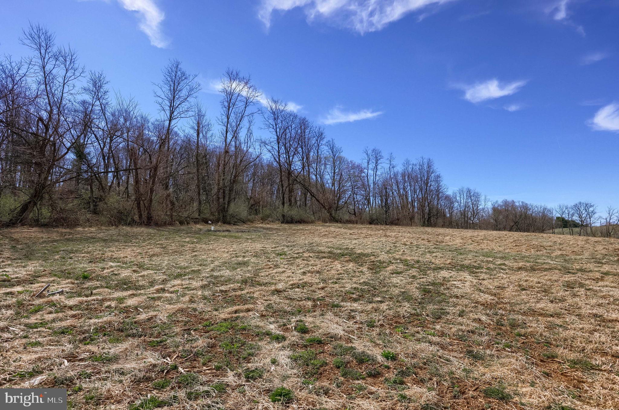 901 Kirchner Road New Freedom, PA 17349 - Photo 14 of 18 a view of a yard