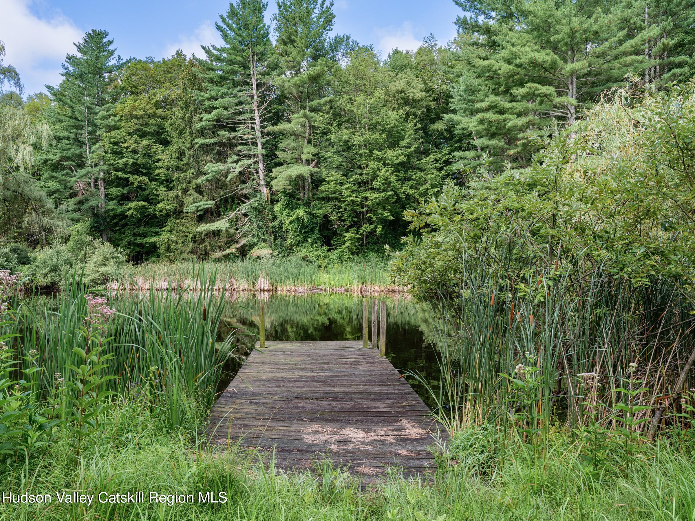 2659 County Rte 9 East Chatham, NY 12060 - Photo 45 of 46 a backyard of a house with lots of green space