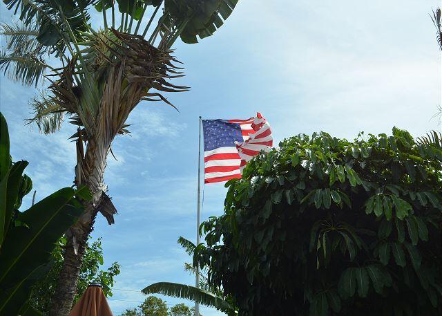 921 Center Street, Unit 12 Key West, FL 33040 - Photo 21 of 22 a close up of a flower in a garden
