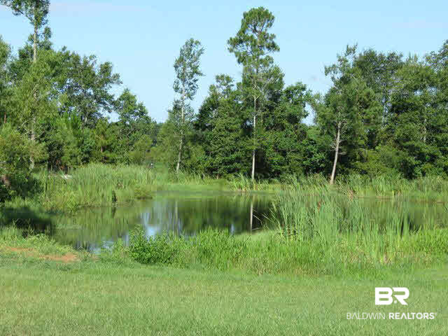 34760 South Pine Road Stapleton, AL 36578 - Photo 14 of 17 Pond