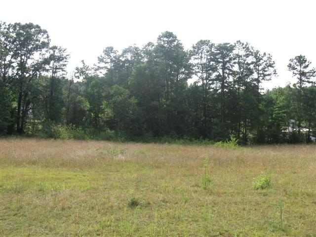 138 King Road Pelzer, SC 29669 - Photo 4 of 4