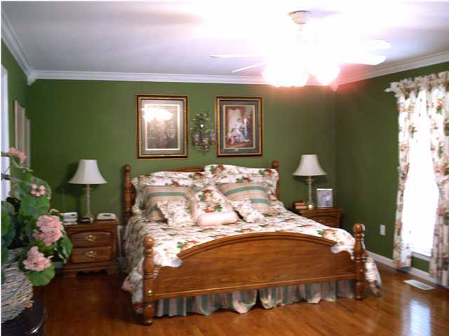 65 Mt Vernon Road Ringgold, GA 30736 - Photo 4 of 9 Additional Photo