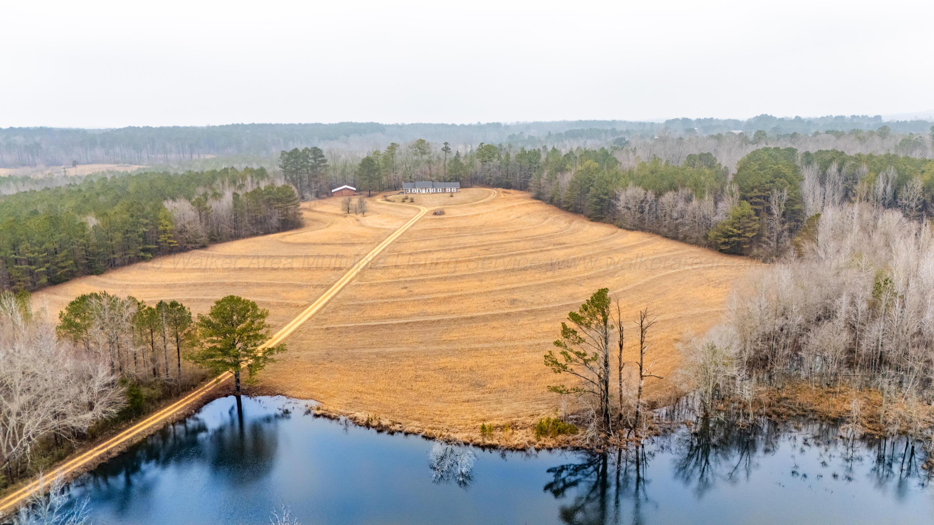 1845 Roberts Road Hamilton, AL 35570 - Photo 1 of 47 Road View