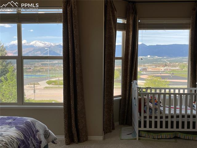 13932 Windy Oaks Road Colorado Springs, CO 80921 - Photo 15 of 28