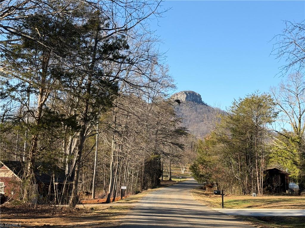 538 Culler Road Pinnacle, NC 27043 - Photo 5 of 7