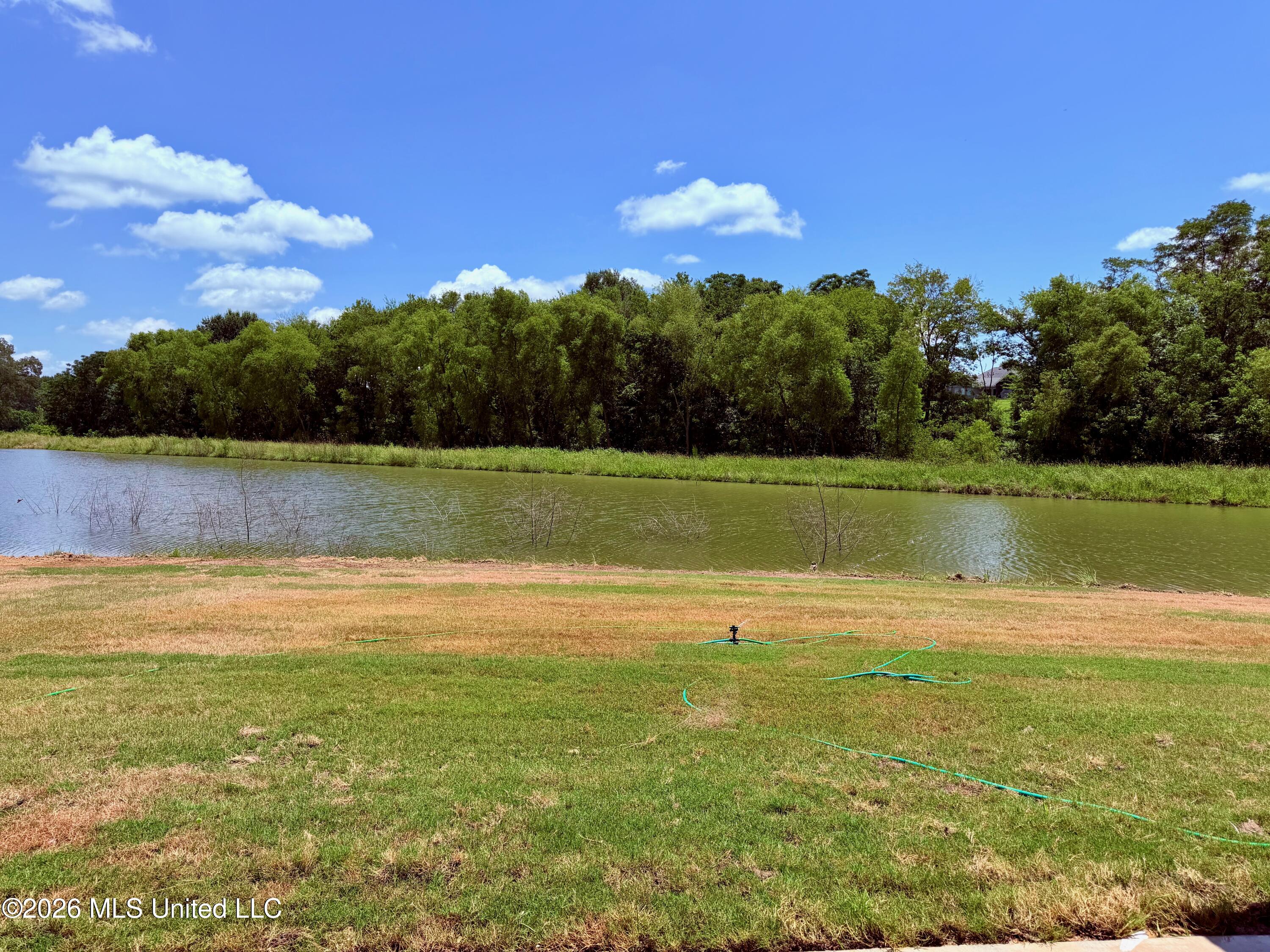 506 Friars Cove Madison, MS 39110 - Photo 3 of 4 Library - 1 of 3